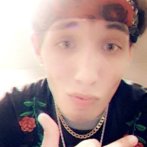 Meet your Posher, Donald